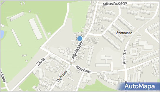 Allegro One Box, zielony automat, Agnieszki 13, Katowice 40-110, godziny otwarcia