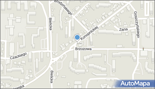 Allegro One Box, zielony automat, Brzozowa 86, Bydgoszcz 85-154, godziny otwarcia