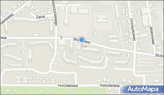 Allegro One Box, zielony automat, Brzozowa 19, Bydgoszcz 85-154, godziny otwarcia