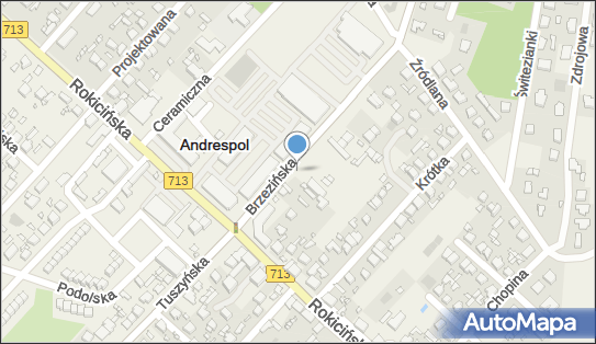 Allegro One Box, zielony automat, Brzezińska 5a, Andrespol 95-020, godziny otwarcia