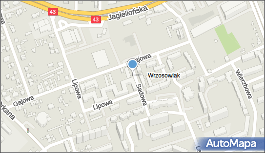 Allegro One Box, zielony automat, Gajowa 17, Częstochowa 42-229, godziny otwarcia