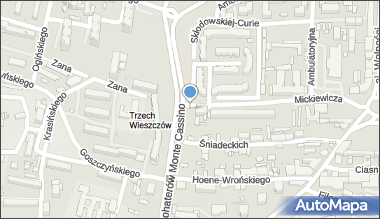 Allegro One Box, zielony automat, Mickiewicza 33, Częstochowa 42-200, godziny otwarcia