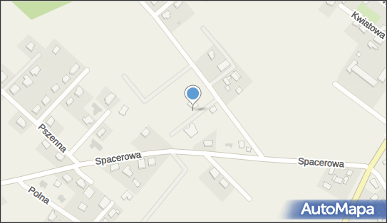 Allegro One Box, zielony automat, Dębowa 19 A, Dobrzewino 84-208, godziny otwarcia