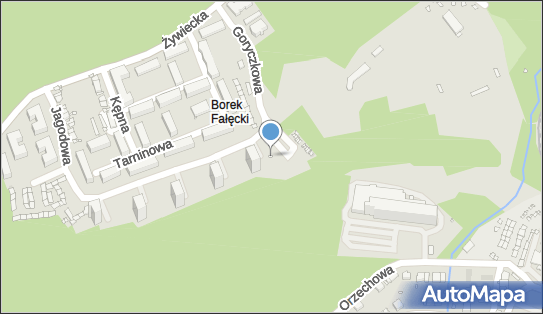 Allegro One Box, zielony automat, Jagodowa 19, Kraków 30-427, godziny otwarcia