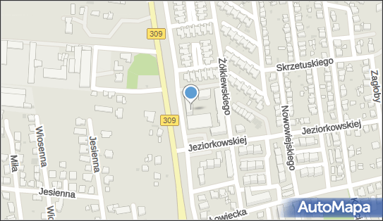 Allegro One Punkt, Furgonetka, Chocimska 14A, Leszno 64-100, godziny otwarcia