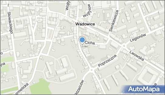 Allegro One Punkt, Furgonetka, Matki Bożej Fatimskiej 15, Wadowice 34-100, godziny otwarcia