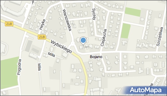 Allegro One Punkt, Furgonetka, Gryfa Pomorskiego 1A, Bojano 84-207, godziny otwarcia