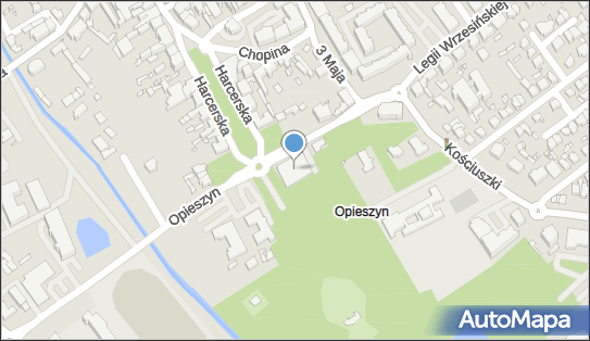 Allegro One Punkt, Kolporter, Opieszyn 9, Września 62-300, godziny otwarcia