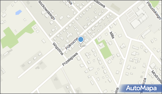 Allegro One Punkt, Pakersi, Przełajowa 38, Lutomiersk 95-083, godziny otwarcia