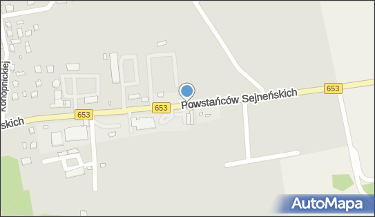 Allegro One Punkty, Powstańców Sejneńskich 36, Sejny 16-500, godziny otwarcia