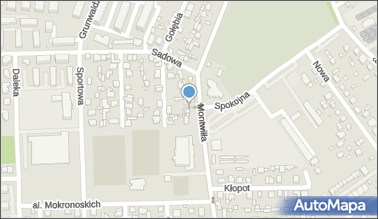 Allegro One Punkty, Montwiłła 47, Grodzisk Mazowiecki 05-825, godziny otwarcia