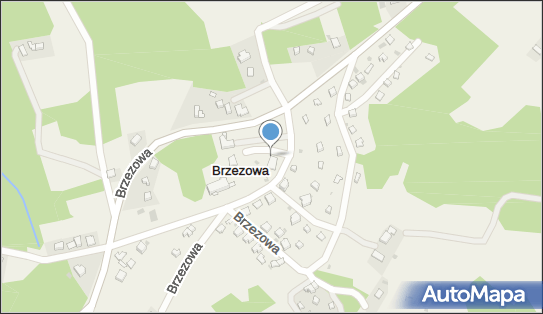 Allegro One Punkty, Brzezowa 1a, Brzezowa 32-410, godziny otwarcia