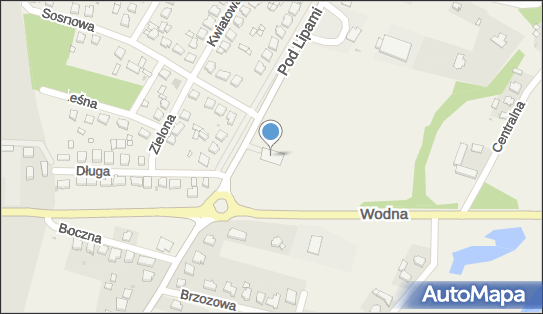 Allegro One Punkty, Licheńska 66, Wola Podłężna 62-500, godziny otwarcia