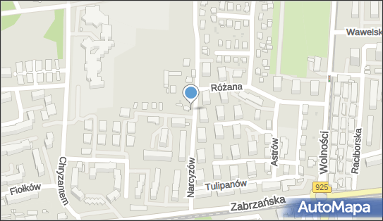 Allegro One Box, zielony automat, Narcyzów 11, Ruda Śląska 41-700, godziny otwarcia