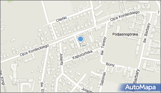 Allegro One Punkt, Furgonetka, Tomasza Wilsona 30 lok 2B 42-202, godziny otwarcia