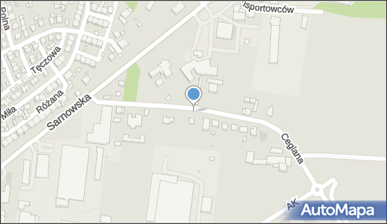 Allegro One Punkt, Pakersi, Ceglana 18, Rawicz 63-900, godziny otwarcia