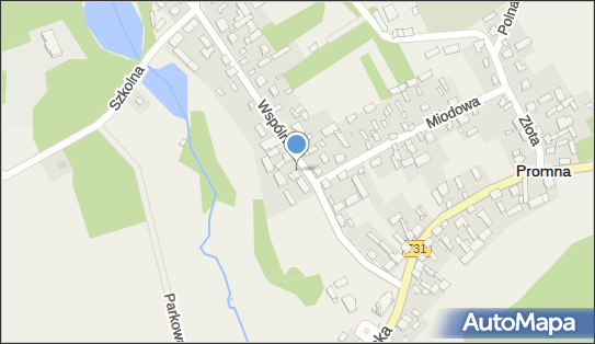 Allegro One Punkt, Wspólna 6, Promna 26-803, godziny otwarcia