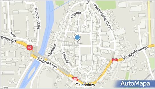 Apteka Św. Wawrzyńca, Ul. Rynek 26, Głuchołazy 48-340, numer telefonu