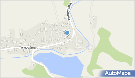 Apteka, Ul. Tarnogórska 79, Kamieniec 42-674, godziny otwarcia, numer telefonu, NIP: 6450201351