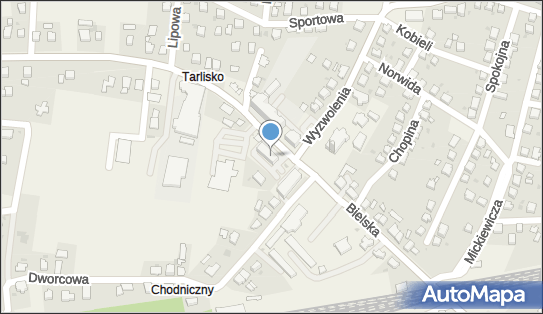 Apteka, Ul. Bielska 61, Chybie 43-520, godziny otwarcia, numer telefonu, NIP: 5480056924