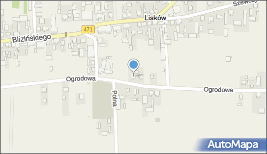 Apteka, Ul. Ogrodowa 5, Lisków 62-850, godziny otwarcia, numer telefonu, NIP: 6180007655
