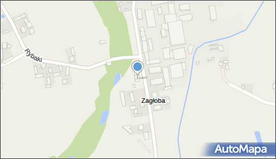 Apteka, Zagłoba 28, Zagłoba 24-313, godziny otwarcia, numer telefonu, NIP: 7171003055