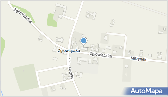 Dla Ciebie, 10, Zgłowiączka 87-890, numer telefonu