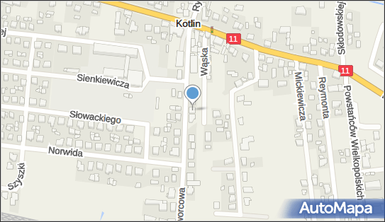 Eskulap, Ul. Dworcowa 19, Kotlin 63-220, godziny otwarcia, numer telefonu, NIP: 6170252577