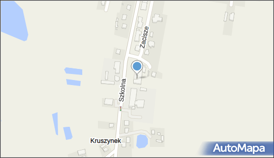 Punkt apteczny Vita, Szkolna 14, Kruszynek 87-853, godziny otwarcia, numer telefonu