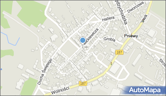 Śródmiejska, Ul. Adama Mickiewicza 16, Pniewy 62-045, numer telefonu, NIP: 7870001978