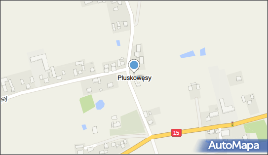 Dwór, kościół, Pluskowęsy 21e, Pluskowęsy 87-410 - Atrakcja turystyczna