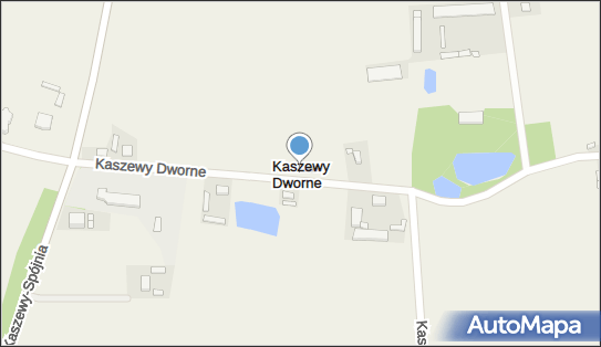 Dwór, park, Kaszewy Dworne 21c, Kaszewy Dworne 99-314 - Atrakcja turystyczna