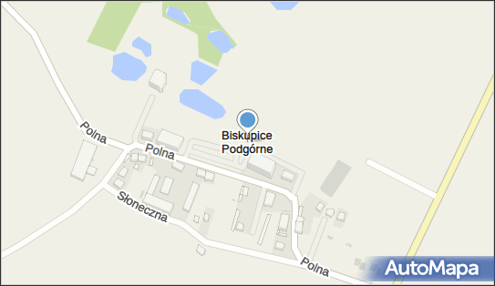 Dwór, Polna 6, Biskupice Podgórne 55-040 - Atrakcja turystyczna