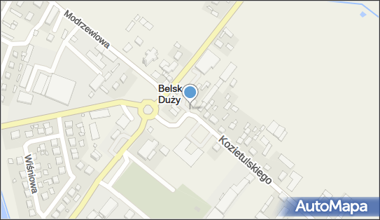 Kościół, usługi, Kozietulskiego Jana Leona, płk. 1, Belsk Duży 05-622 - Atrakcja turystyczna
