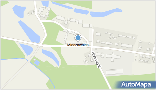 Pałac, park, pomnik, Mieczownica 15A, Mieczownica 62-402 - Atrakcja turystyczna