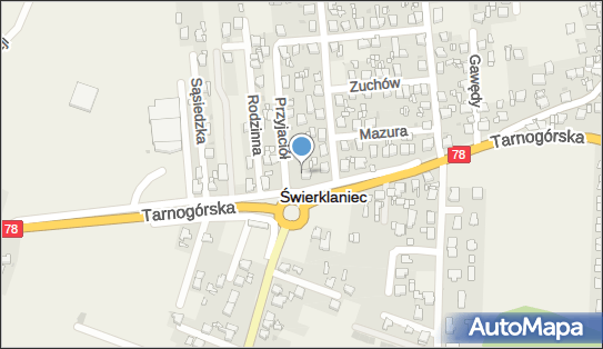 Pałac, park, usługi, Tarnogórska 68, Świerklaniec 42-622 - Atrakcja turystyczna