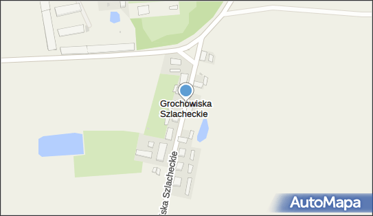 Pałac, park, Grochowiska Szlacheckie 6, Grochowiska Szlacheckie 88-420 - Atrakcja turystyczna