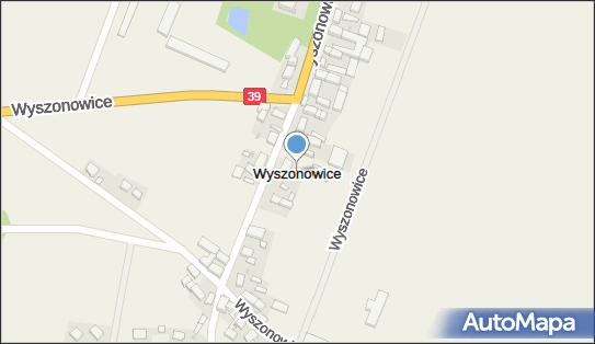 Pałac, park, Wyszonowice 46, Wyszonowice 57-120 - Atrakcja turystyczna