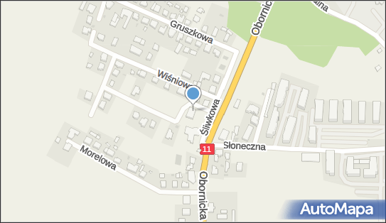 Autoglass - Autoszyby, Bogdanowo 12A, 64-600, Bogdanowo 64-600, godziny otwarcia, numer telefonu