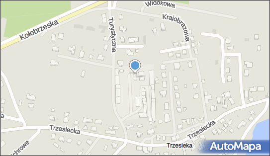 Michałowski Grzegorz Elektromechanika pojazdowa, Radosna 28 78-400 - Autoserwis, numer telefonu