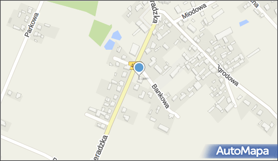 Bank BPS - Bankomat, Zadzim 93, Zadzim 99-232, godziny otwarcia