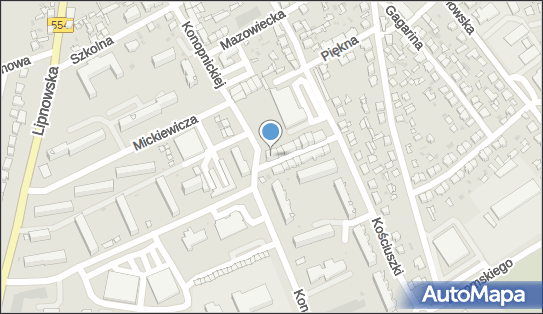 Bank BPS - Bankomat, Pod Arkadami 1, Golub Dobrzyń 87-400, godziny otwarcia