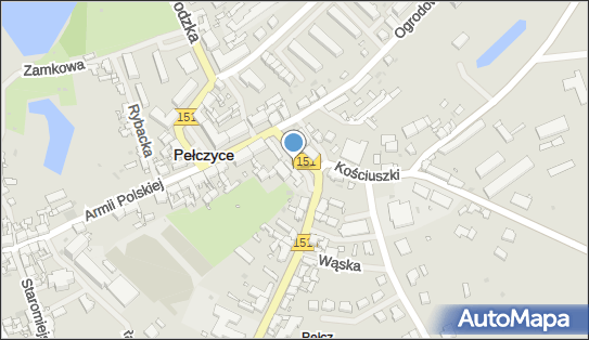 Bank BPS - Bankomat, Kościuszki 30, Pełczyce 73-260, godziny otwarcia