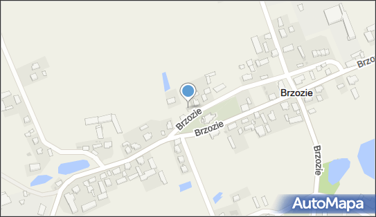 Bank BPS - Bankomat, Brzozie 35, Brzozie 87-313, godziny otwarcia