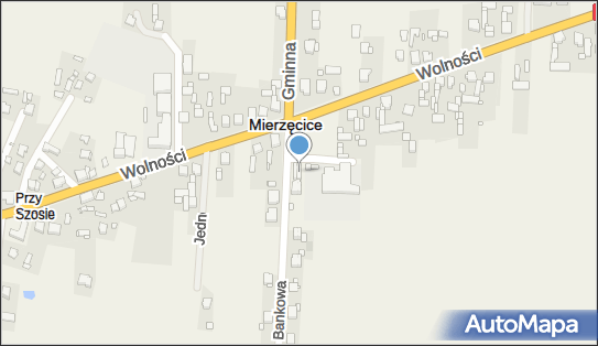 Bank BPS - Bankomat, Bankowa 22, Mierzęcicie 42-460, godziny otwarcia