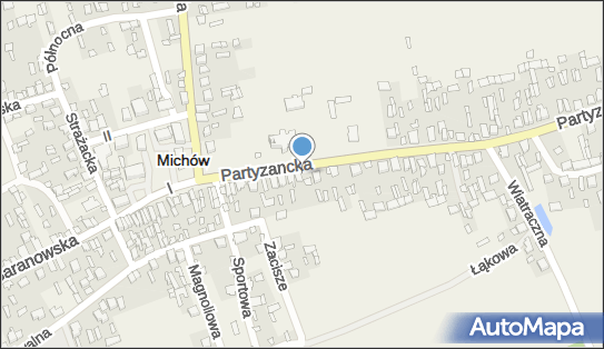 Bank BPS - Bankomat, Partyzancka 20, Michów 21-140, godziny otwarcia