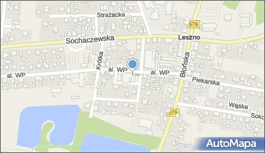 Bank BPS - Oddział, Wojska Polskiego 7, Leszno 05-084, numer telefonu