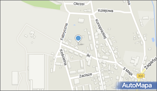 Bank BPS - Oddział, Matejki 2, Gozdnica 68-130, numer telefonu