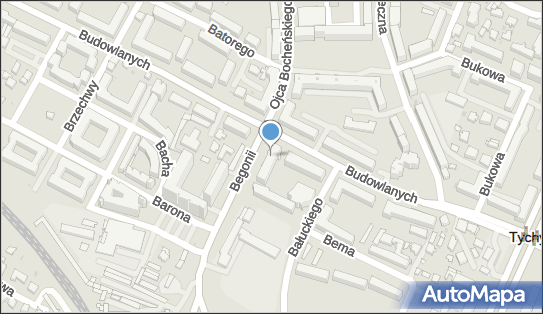 Bar Cameleon Błaszczak Mirosław Drelich Damian, Budowlanych 35 43-100 - Bar, numer telefonu, NIP: 6462449950