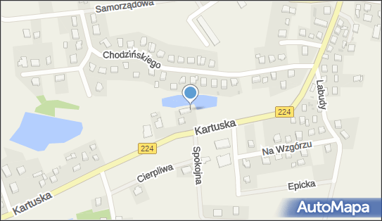 Pod Wierzbą - Mateusz Kowalewski, Kartuska 8B, Szemud 84-217 - Bar, numer telefonu